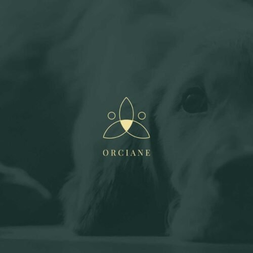 clinique vétérinaire orciane - Auxiliaire spécialisée vétérinaire